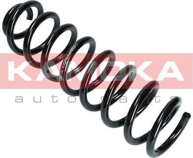 Suspension Spring 2110369 - image 2