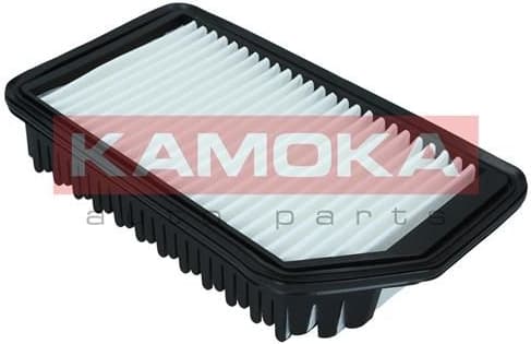 Air Filter F246901