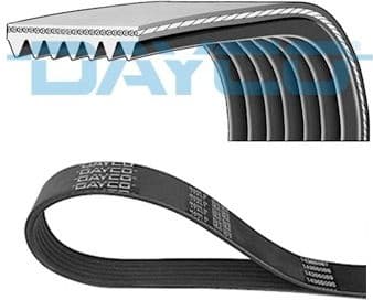 V-ribbed Belt 7PK880