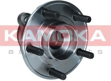Wheel Bearing Kit 5500258
