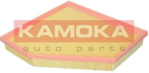 Air Filter F252601 - image 2