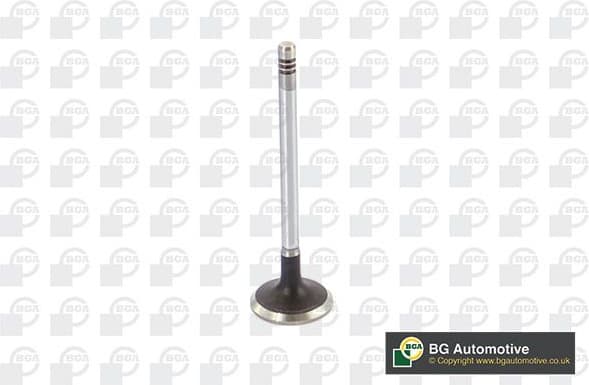 Intake Valve V424831