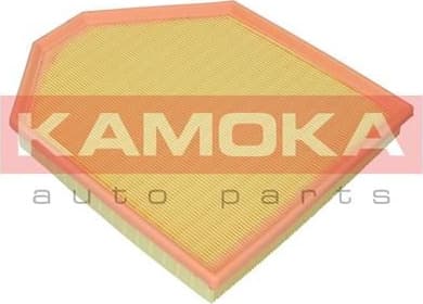 Air Filter F243401 - image 2