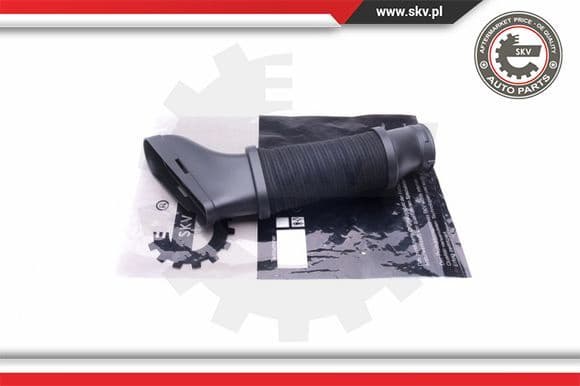 Intake Hose, air filter 43SKV913