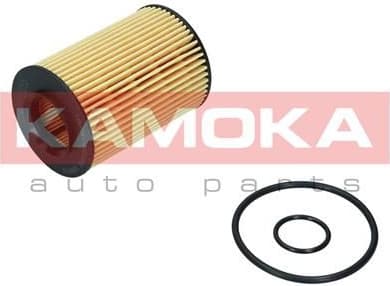 Oil Filter F119601