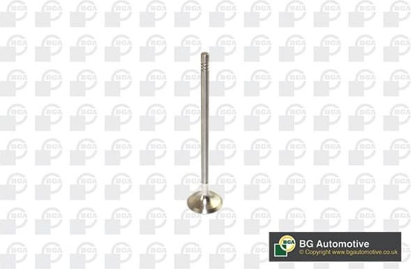 Exhaust Valve V591702