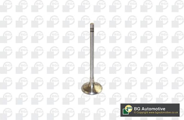 Intake Valve V591701