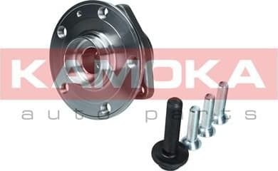 Wheel Bearing Kit 5500171