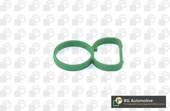 tarpiklis, įsiurbimo kolektorius MG4788