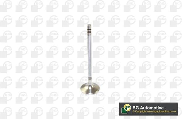 Intake Valve V166200