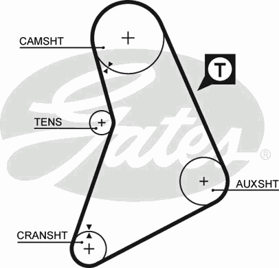 Timing Belt PowerGrip™ 5069