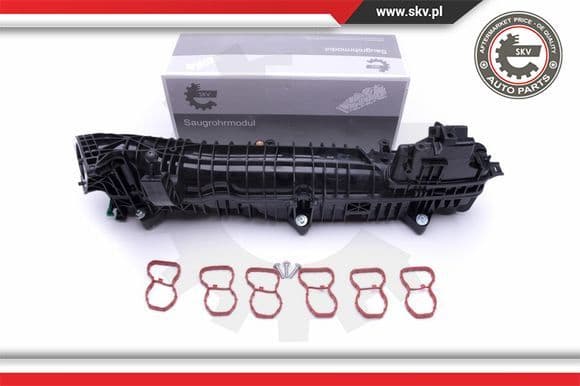 Intake Manifold Module 49SKV039