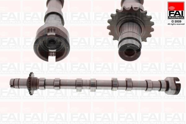 Camshaft C421