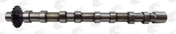 Camshaft CAM976