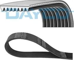 Belt PK-multirib 8PK1295