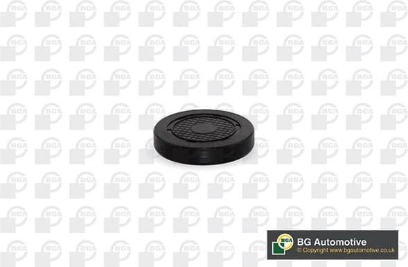 Plug, rocker arm shaft mounting bore PL4601