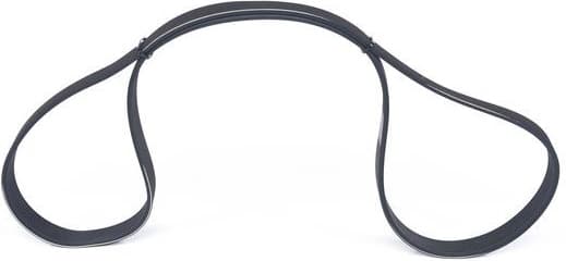 V-ribbed Belt 1987945741