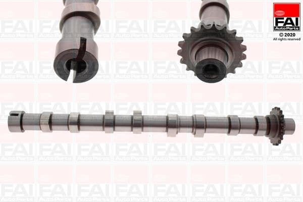 Camshaft C420