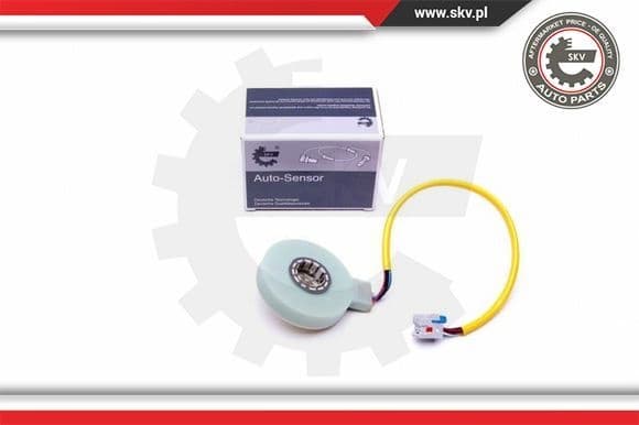 Steering Angle Sensor 17SKV482