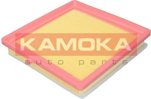 Air Filter F243901 - image 2