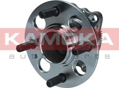 Wheel Bearing Kit 5500271
