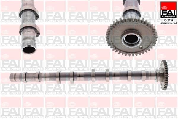 Camshaft C393