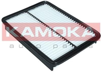 Air Filter F245501