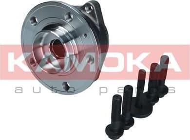 Wheel Bearing Kit 5500371