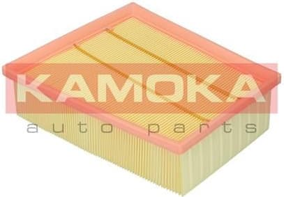 Air Filter F248201