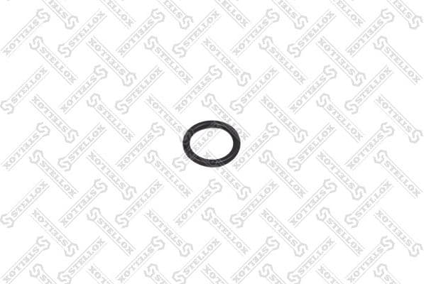 Gasket, coolant flange 89-01165-SX