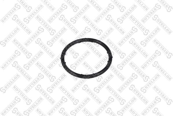 Gasket, coolant flange 89-01167-SX