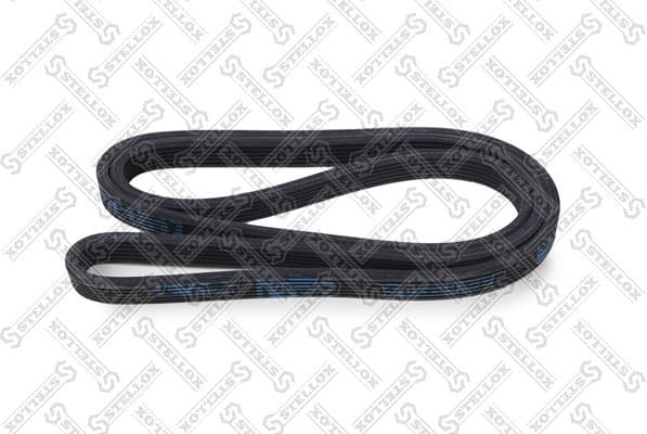 V-ribbed Belt 16-01817-SX