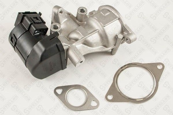 EGR Valve 01-25004-SX
