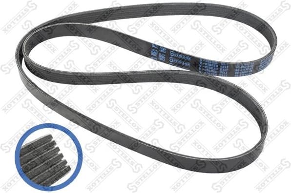V-ribbed Belt 06-01610-SX
