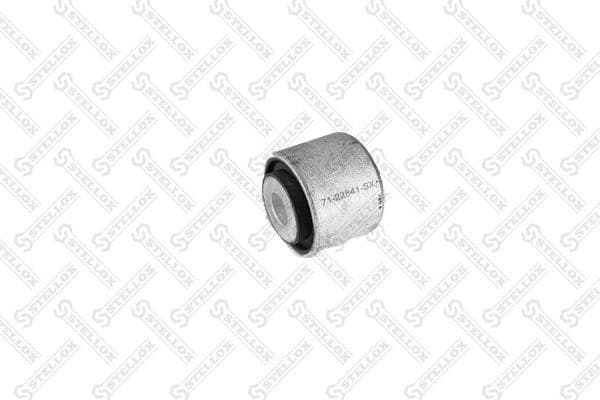 Mounting, control/trailing arm 71-22841-SX