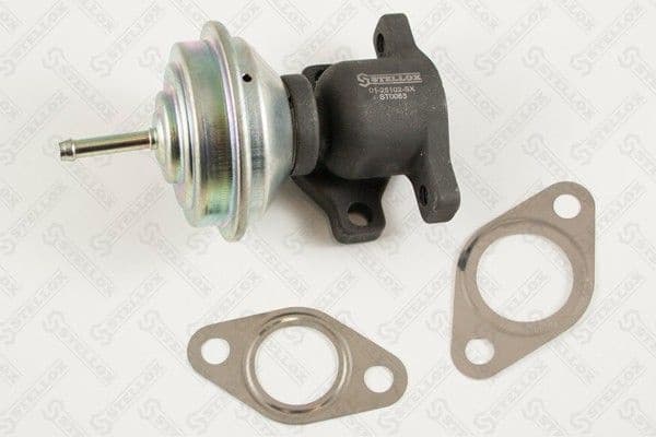 EGR Valve 01-25102-SX