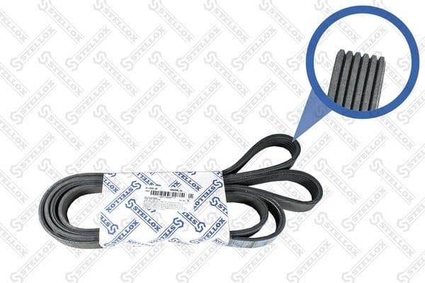 V-ribbed Belt 06-02585-SX