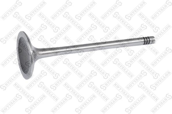 Intake Valve 01-23341-SX