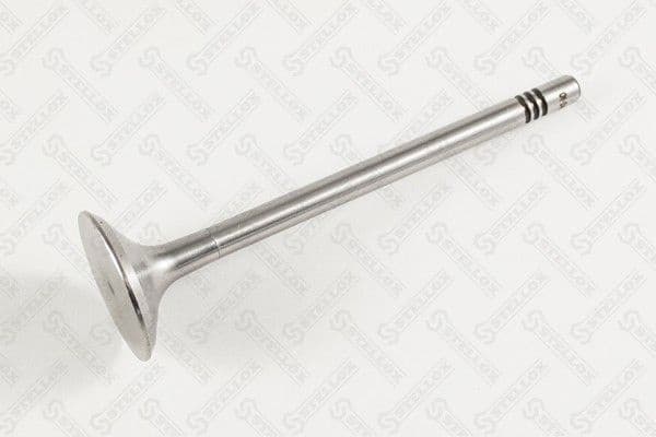 Intake Valve 01-24349-SX