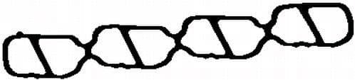 Gasket, intake manifold MG6719