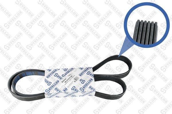 V-ribbed Belt 06-01570-SX