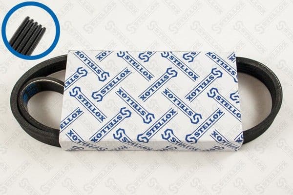 V-ribbed Belt 05-00810-SX