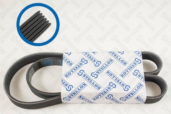 V-ribbed Belt 06-01173-SX