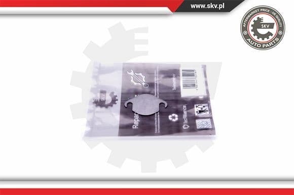 Repair Set, EGR valve 14SKV504
