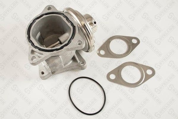 EGR Valve 01-25001-SX