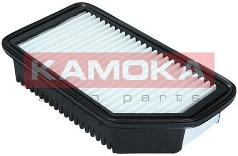 Air Filter F247001