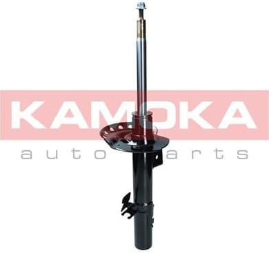 Shock Absorber 2000459
