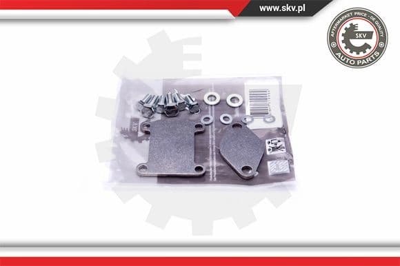 Repair Set, EGR valve 14SKV502