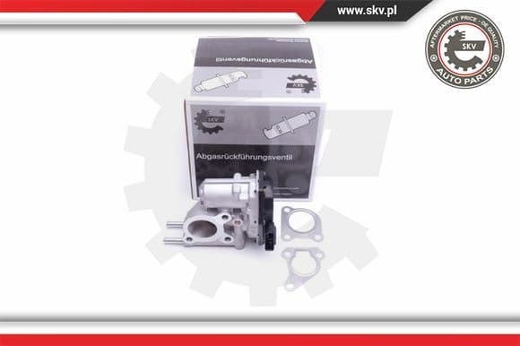 EGR Valve 14SKV215
