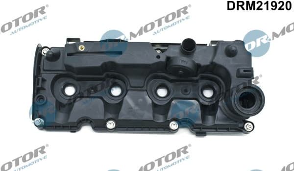 Cylinder Head Cover DRM21920